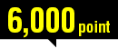 6000point