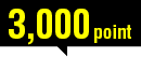 3,000point